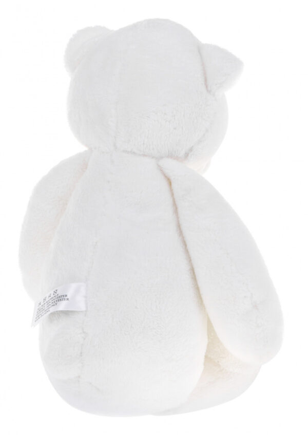 Teddy Bear With World Sounds Function - Image 3