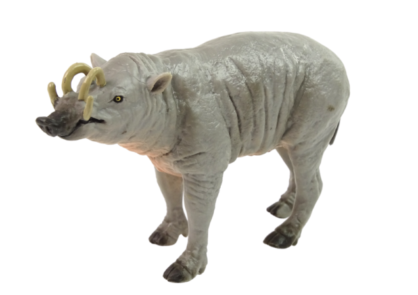 Collector's figurine Babirussa Sulaweska Animals of the World - Image 2