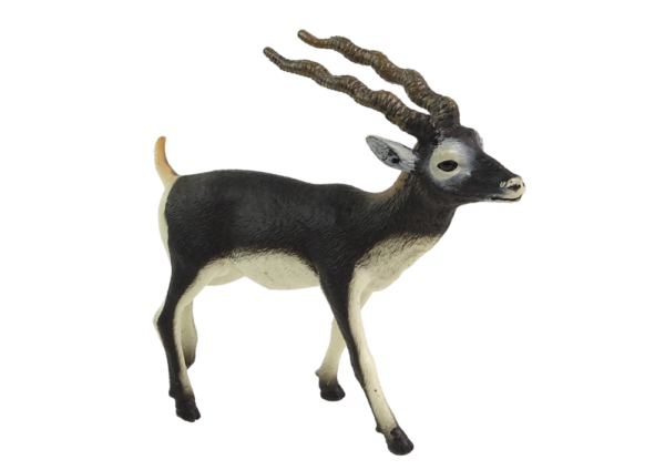 Blackbuck Antelope Collector's Figurine Animals of the World - Image 2