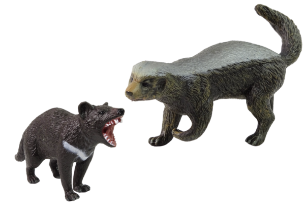 Set of 2 Figures Honey-eating Ratel and Tasmanian Devil - Image 2