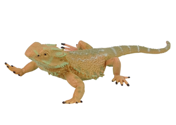 Agama Bearded Collector's Figurine Animals of the World - Image 2