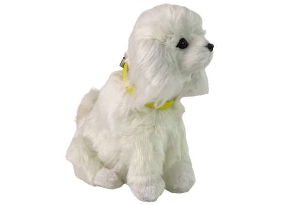 Interactive Plush Dog Soft fur Breed Poodle Stroke its head and learn its functions