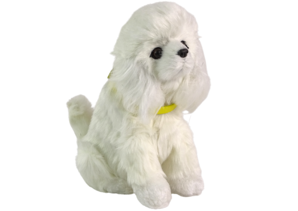 Interactive Plush Dog Soft fur Breed Poodle Stroke its head and learn its functions - Image 3