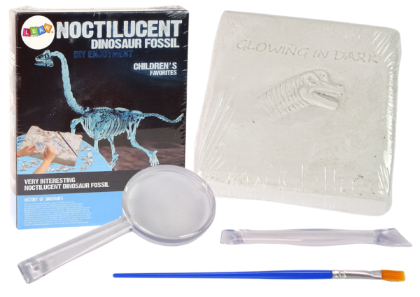 Archaeology Excavation Kit Dinosaur Skeleton 3D Brachiosaurus Hologram