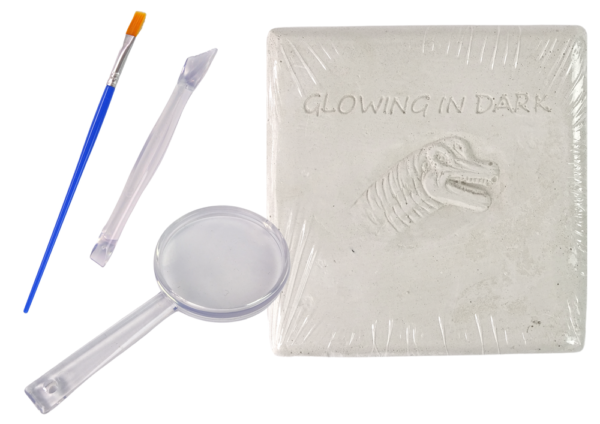 Archaeology Excavation Kit Dinosaur Skeleton 3D Brachiosaurus Hologram - Image 2