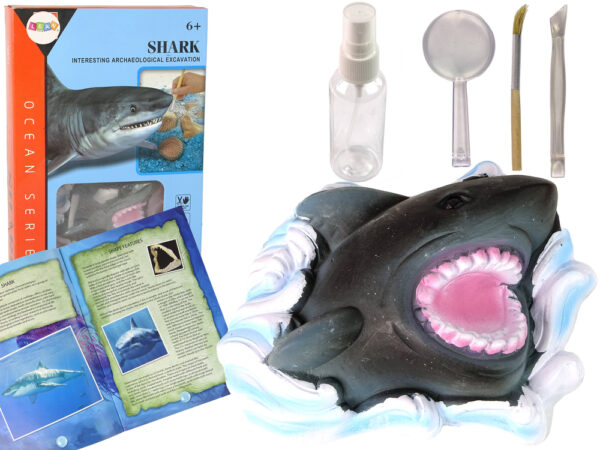 Ammonite Shark Excavation Educational Kit