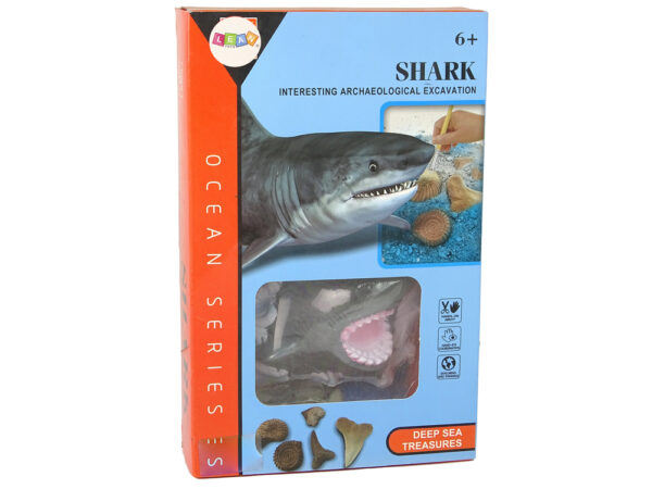 Ammonite Shark Excavation Educational Kit - Image 5