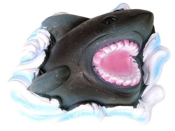 Ammonite Shark Excavation Educational Kit - Image 2