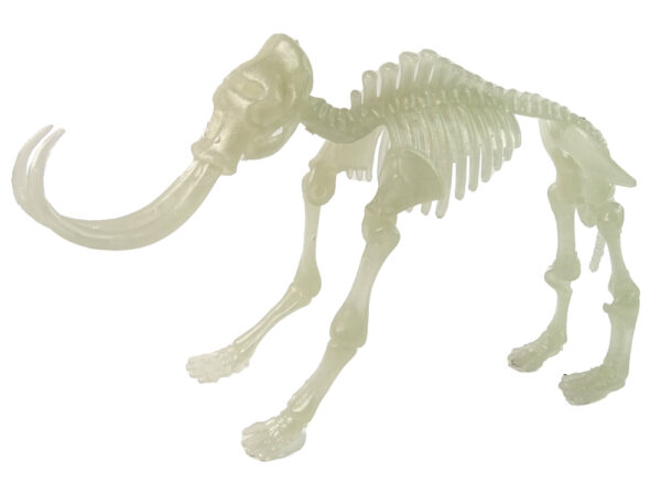 Glow-in-the-Dark 3D Skeleton Mammoth Dinosaurs in an Egg - Image 3