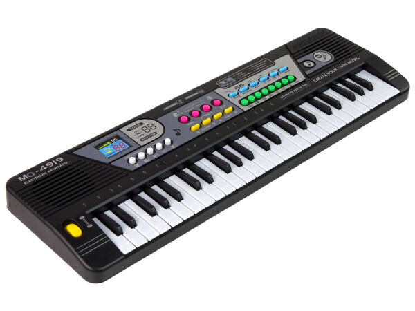 Keyboard MQ4919 Microphone Organ 49 Keys - Image 2