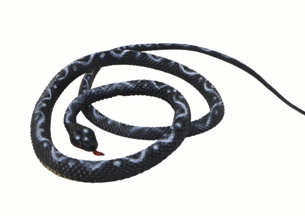 Artificial Rubber Coral Snake Black PVC - Image 2