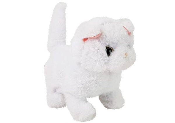 White Persian Cat Walks Wags Its Tail on Batteries - Slika 2