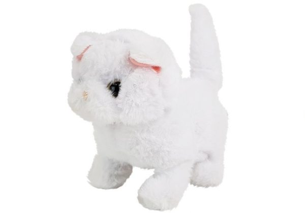 White Persian Cat Walks Wags Its Tail on Batteries - Slika 3