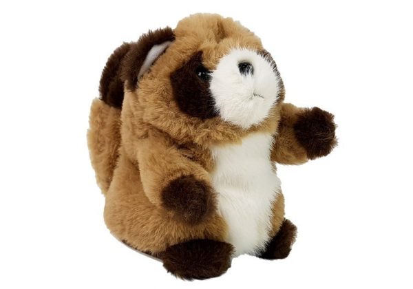 Interactive Talking Raccoon Repeating Words Plush - Image 2