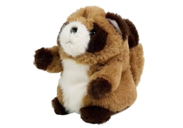 Interactive Talking Raccoon Repeating Words Plush - Image 3