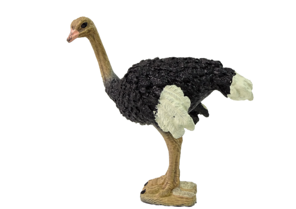 Collector's figurine Ostrich  Animals of the World series - Image 2