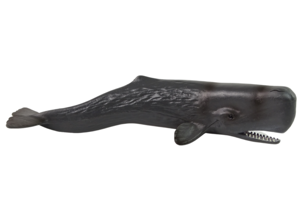 Sperm whale  figurine World The Sea series - Image 2