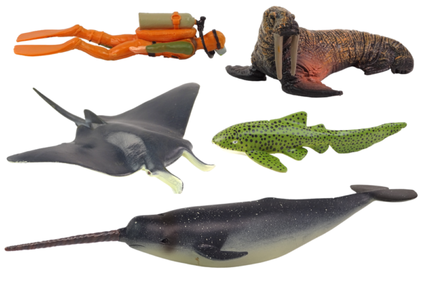 Sea Animals Figure Set Arctic Walrus Narwhal - Image 2