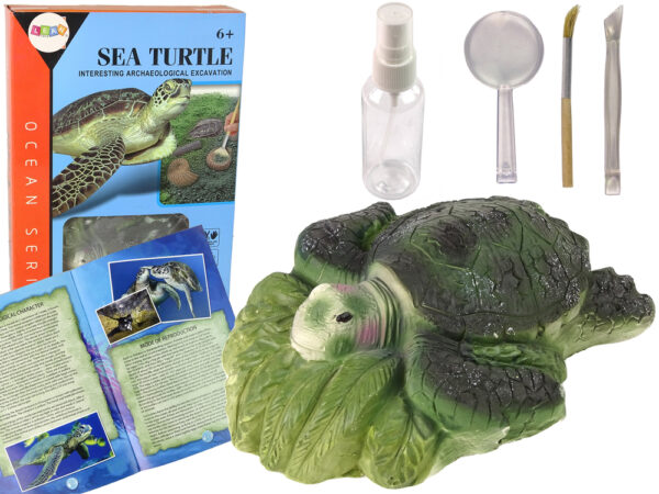 Ammonite Turtle Excavation Educational Kit