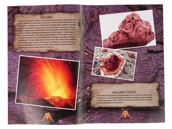 Volcano Excavation Educational Kit - Image 4