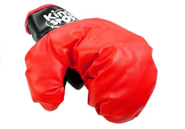 Big Boxer Set For Kids + Gloves Pear Stand - Image 5