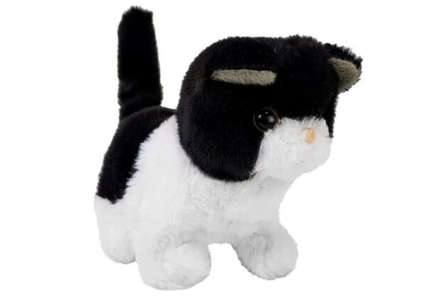 Black and White Cat Walks Wags Its Tail on Batteries - Image 2