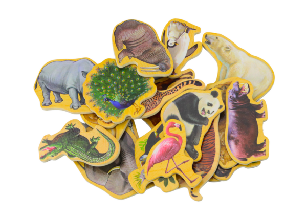 Wooden Magnets Wild Animals Safari 20 pieces - Image 2