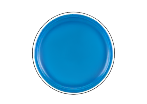 Flying Disc Frisbee with Dinosaur Blue 20 Cm - Image 3