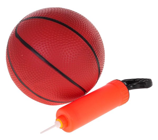 Basketball + Accessories - Image 2