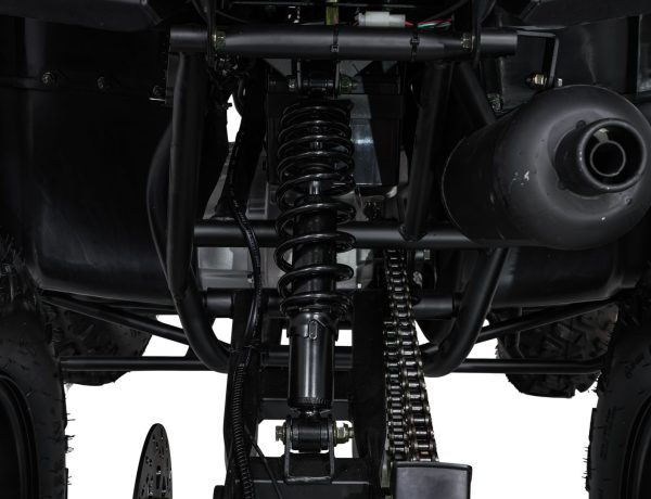 Quad na benzin MONSTER 200CC - plavi - Slika 17